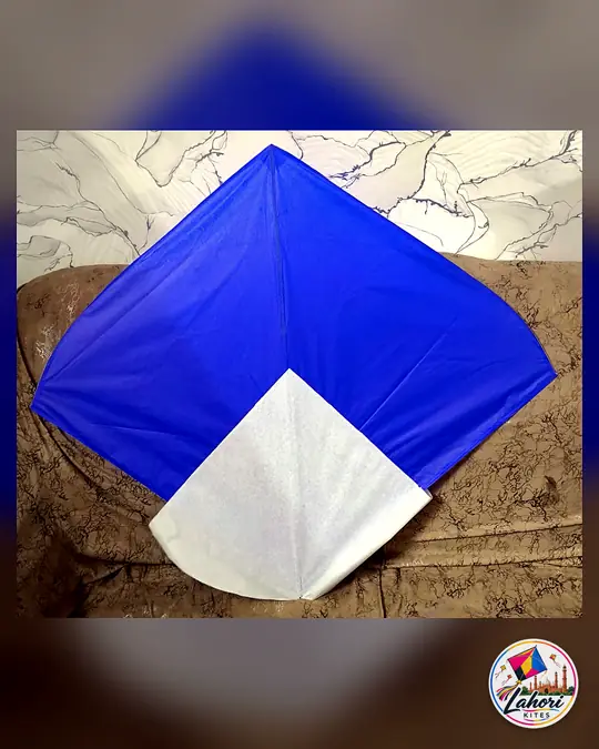 Blue and white gudda kite